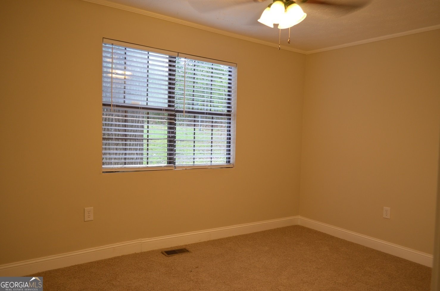 72 Collins Ridge Drive Forsyth - 11