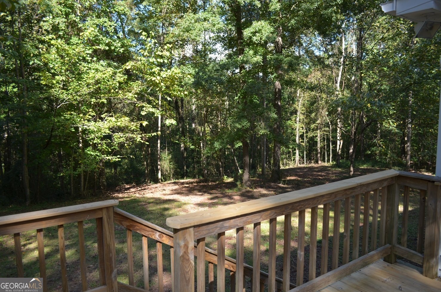 72 Collins Ridge Drive Forsyth - 15