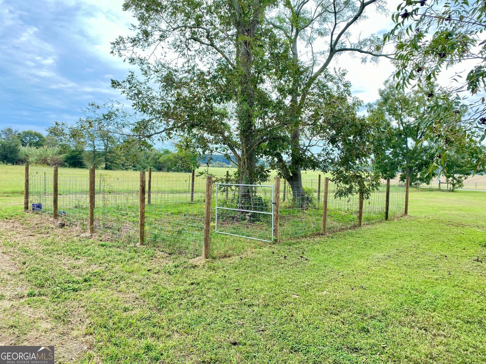 1088 Tippettville Road Pineview - 10