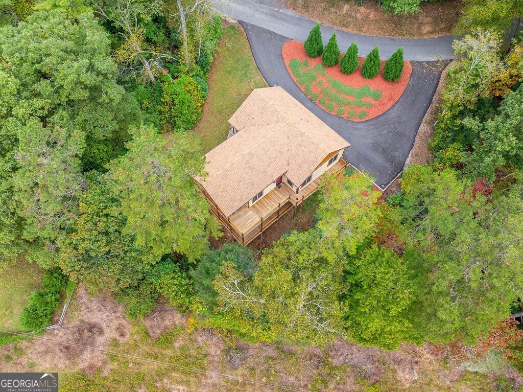 292 Silver Fox Trail Blue Ridge - 12