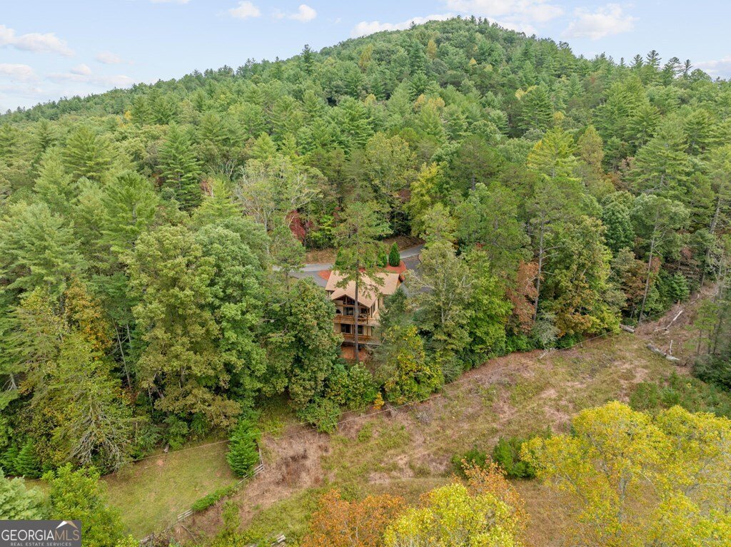 292 Silver Fox Trail Blue Ridge - 13