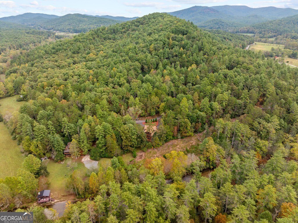 292 Silver Fox Trail Blue Ridge - 14