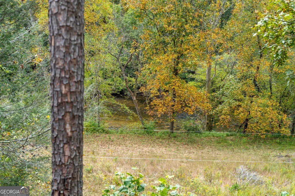 292 Silver Fox Trail Blue Ridge - 20