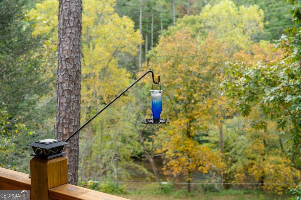 292 Silver Fox Trail Blue Ridge - 21