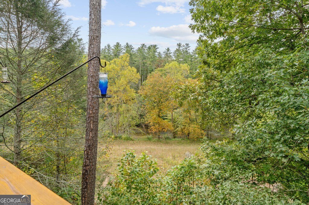 292 Silver Fox Trail Blue Ridge - 22
