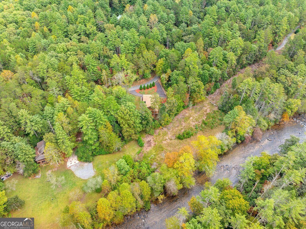 292 Silver Fox Trail Blue Ridge - 8