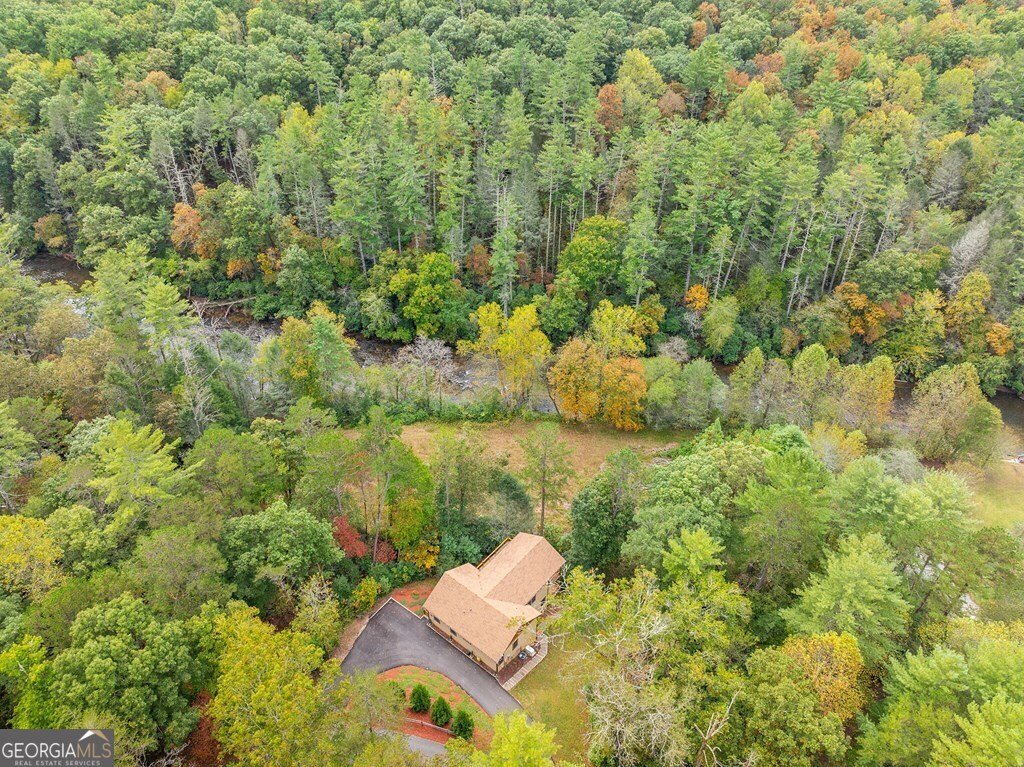 292 Silver Fox Trail Blue Ridge - 9