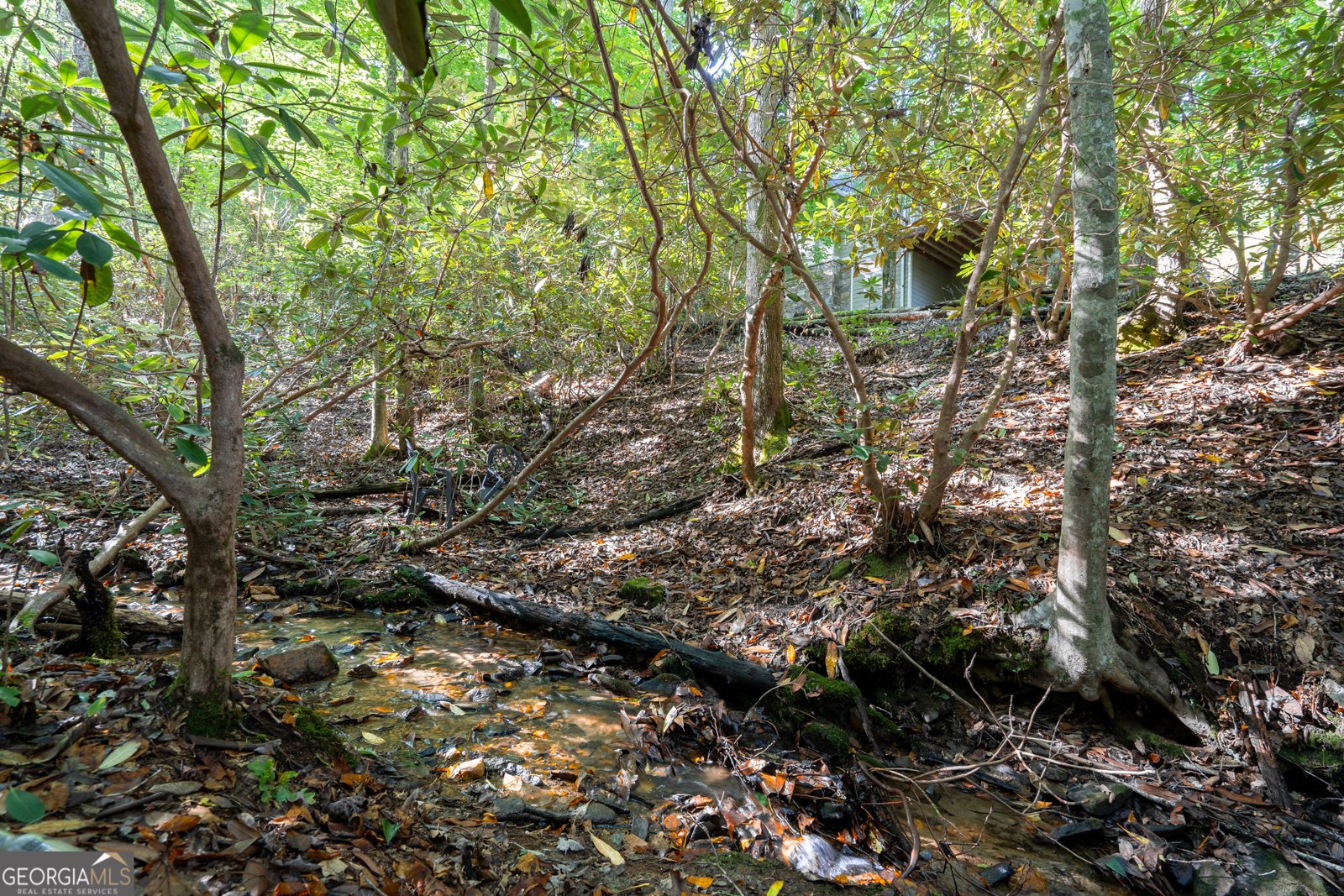 2325 Fodder Creek Mill Road Hiawassee - 46