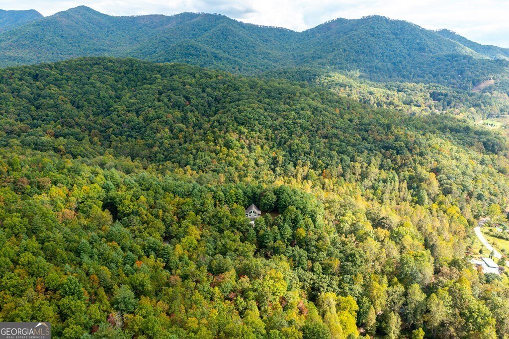 220 Cold Branch Lane Hayesville - 28