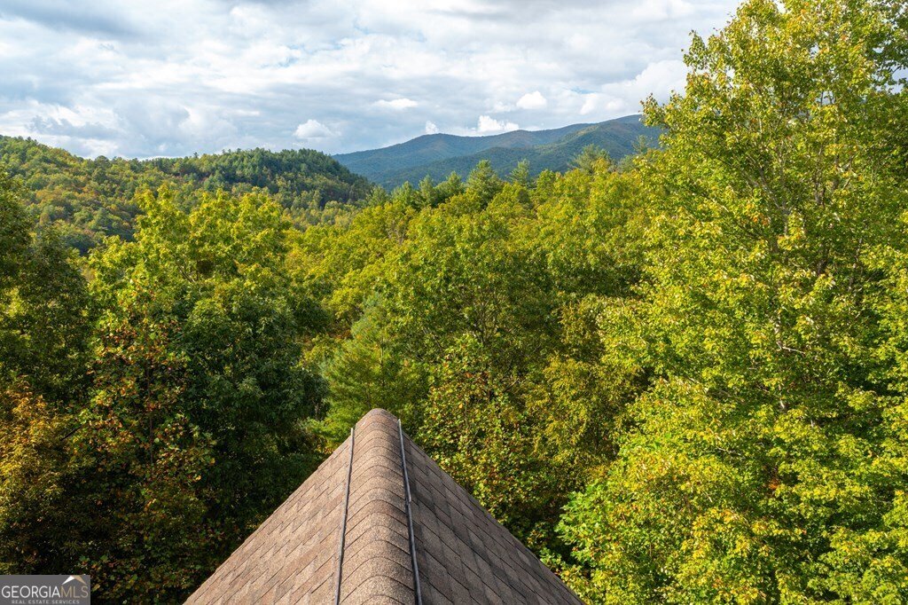 220 Cold Branch Lane Hayesville - 3
