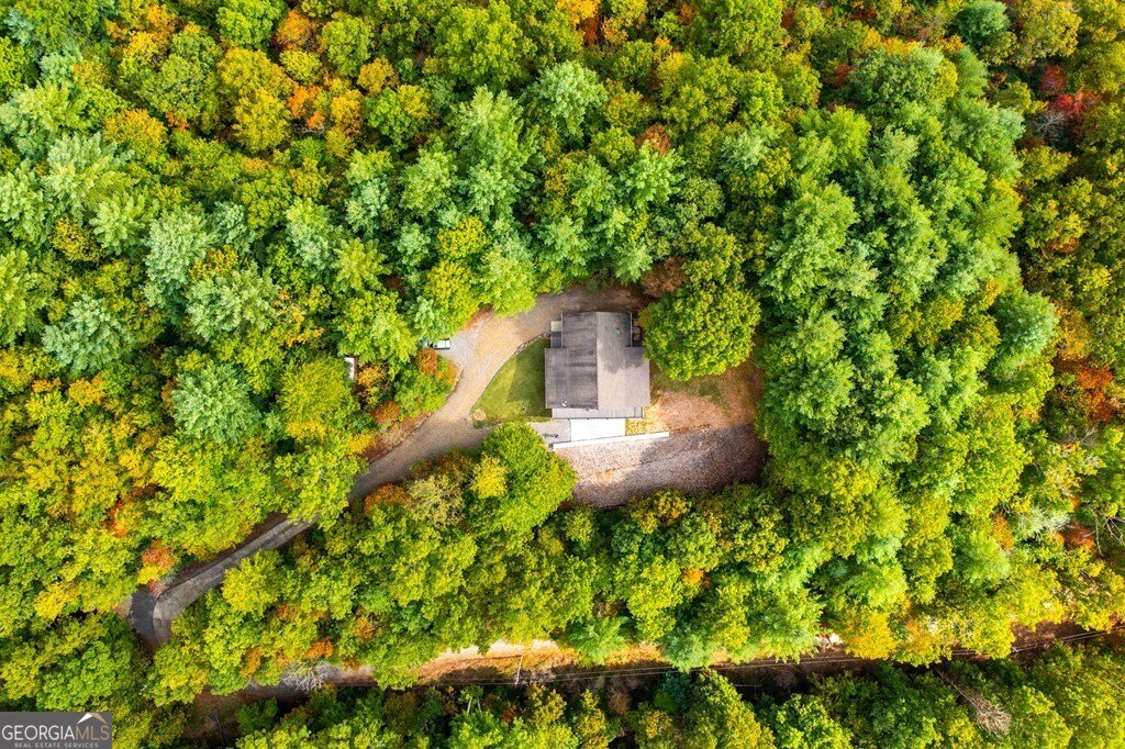 220 Cold Branch Lane Hayesville - 33