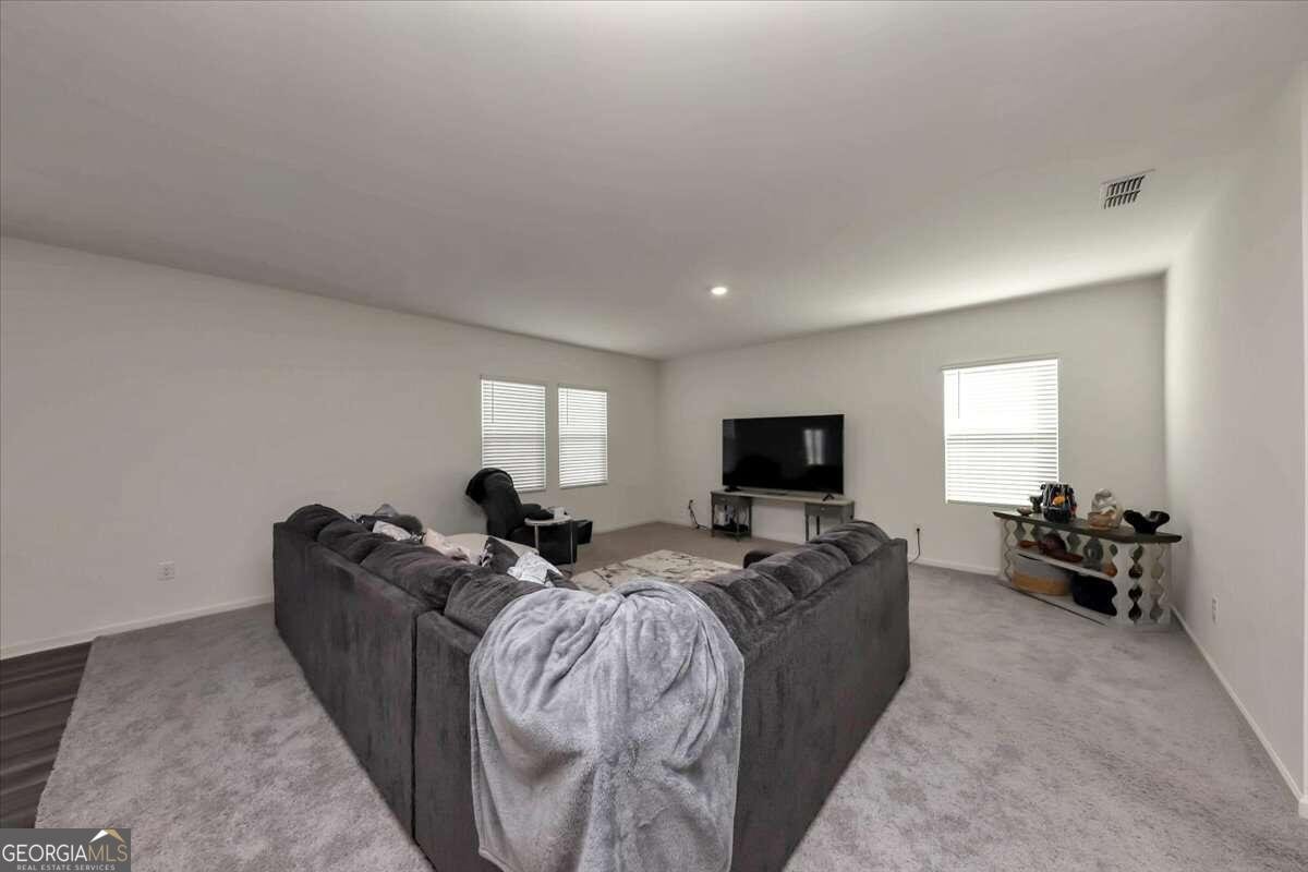 250 Cotton Tail Lane Villa Rica - 12