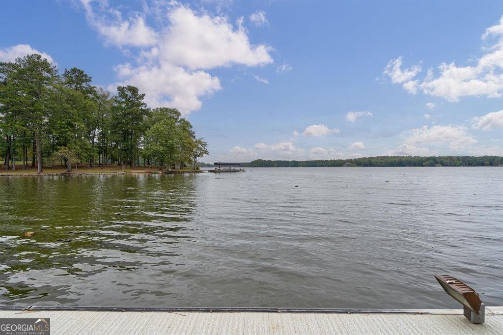 190 Hickory Point Drive Buckhead - 52