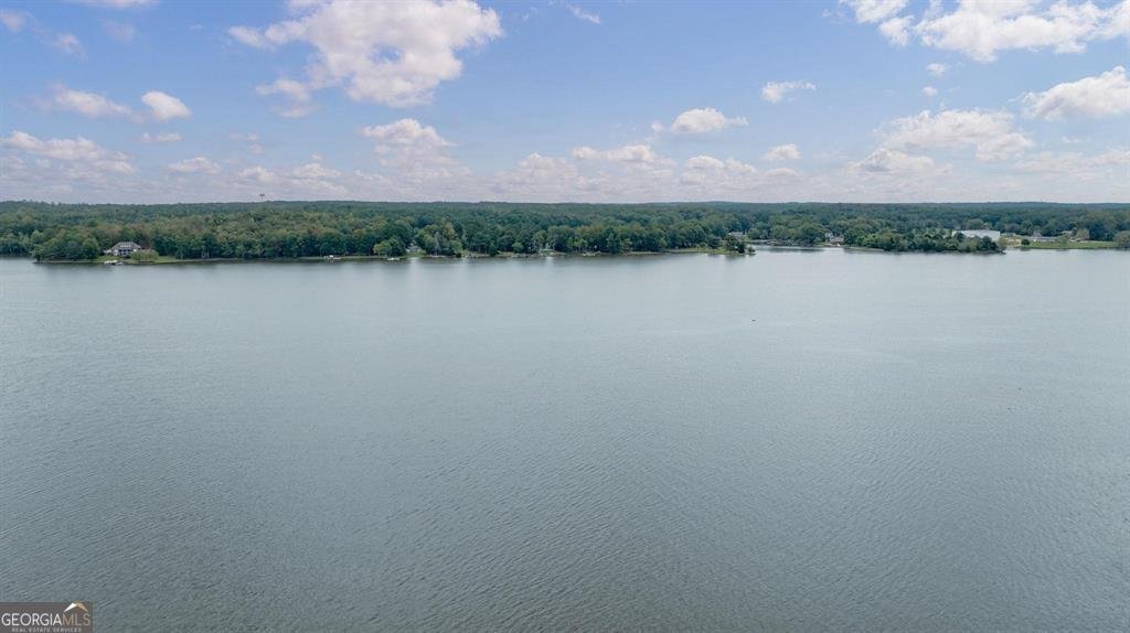 190 Hickory Point Drive Buckhead - 62