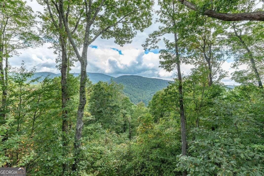 881 Fox Mountain Cherry Log - 12