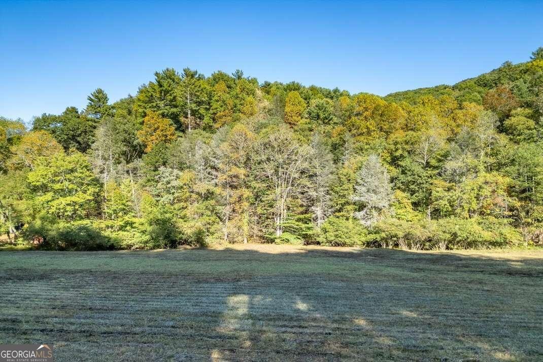 881 Fox Mountain Cherry Log - 47