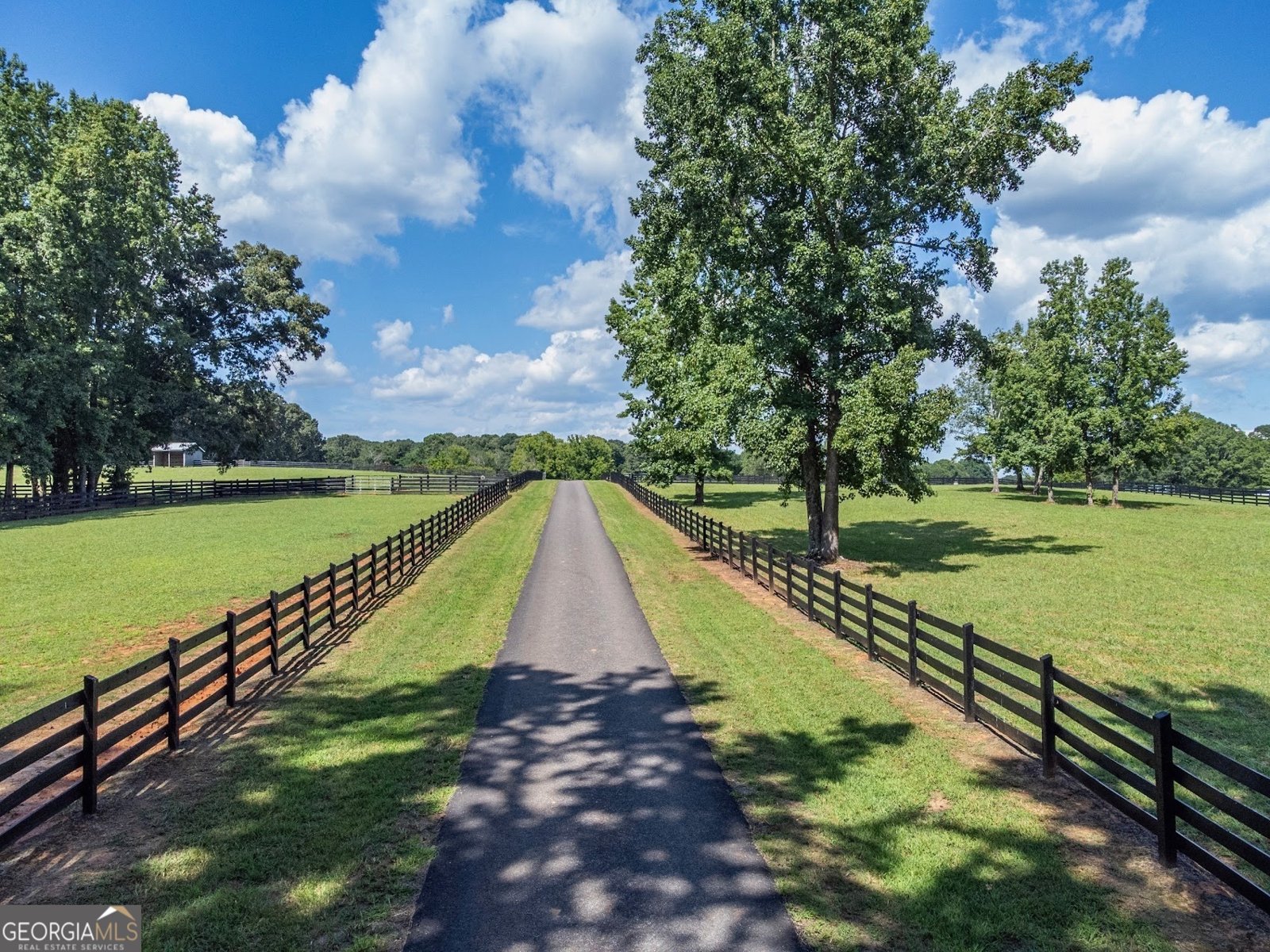 7804 Jefferson River Road Athens - 5