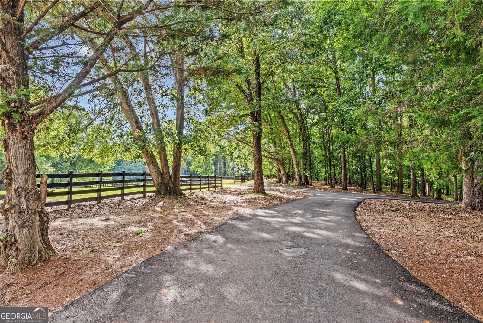 7804 Jefferson River Road Athens - 6
