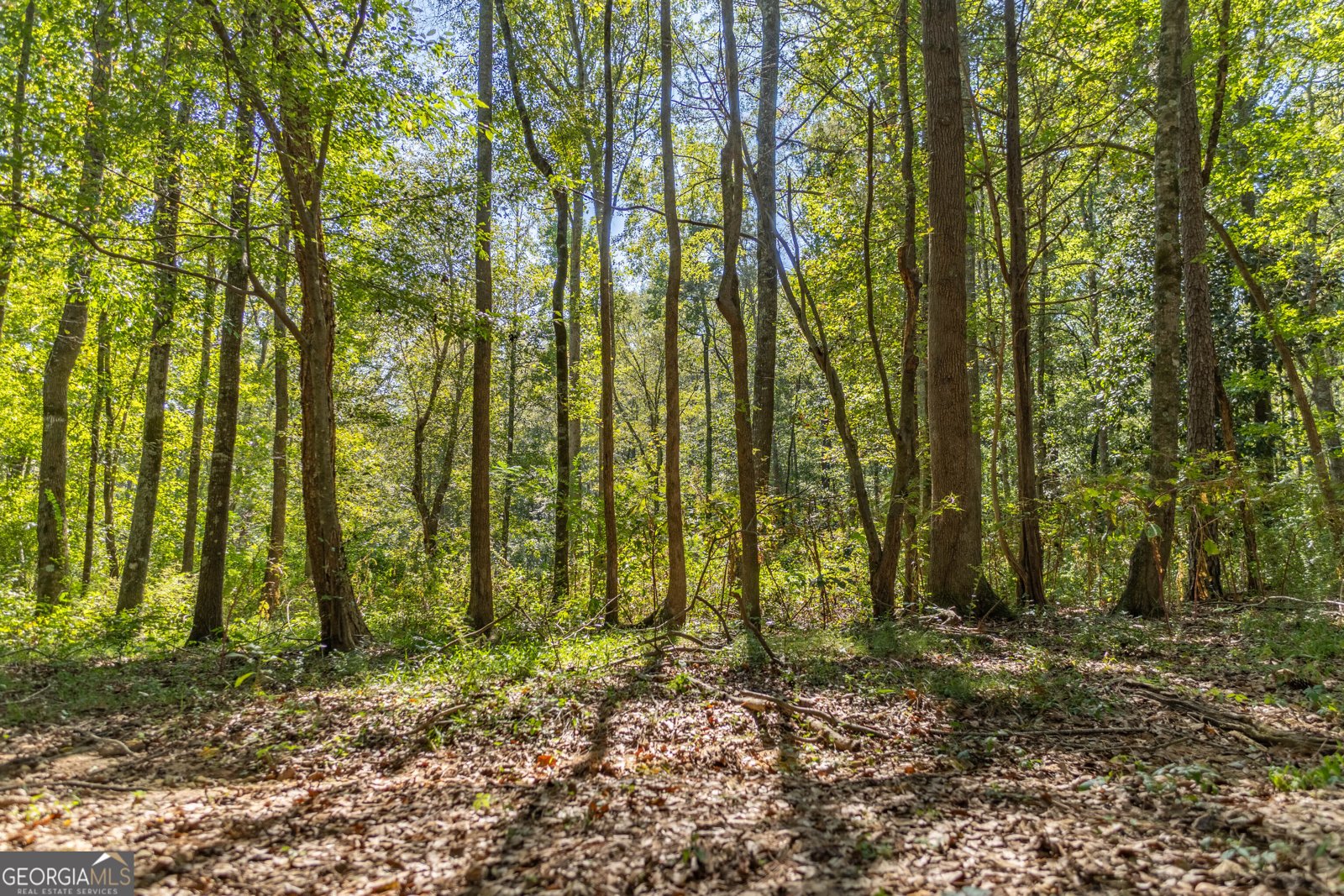 1165 Monk Street Valley - 67