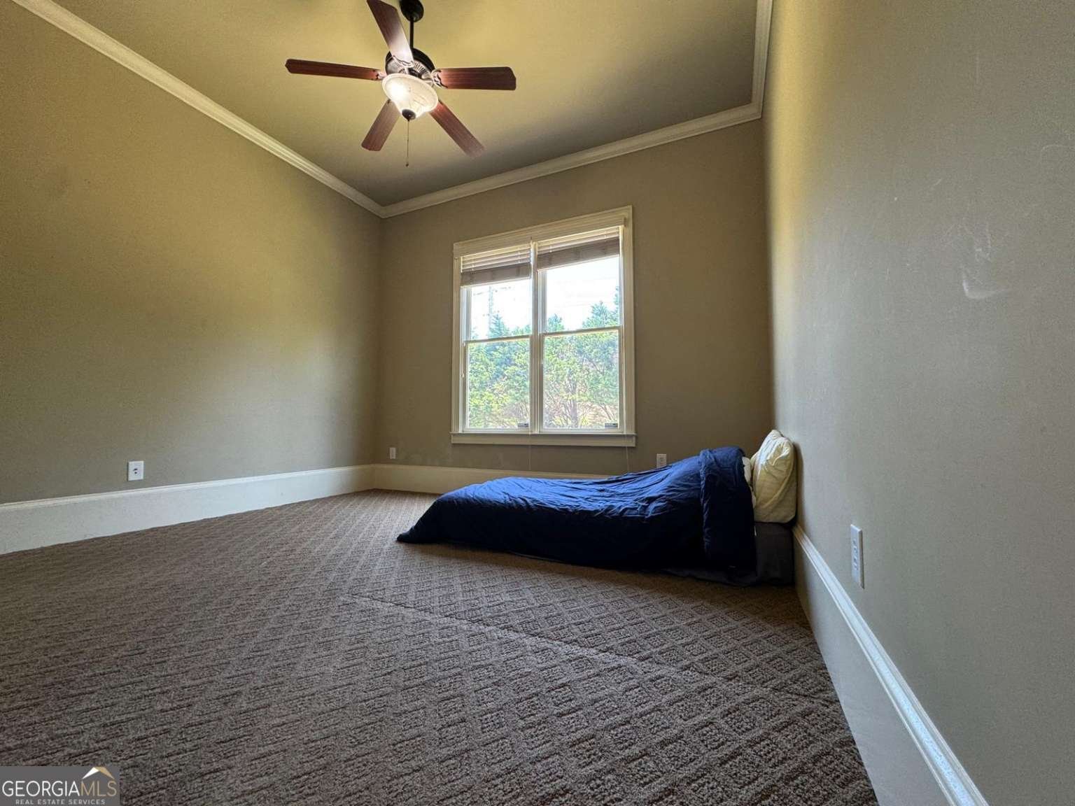 3450 Camellia Lane Suwanee - 22
