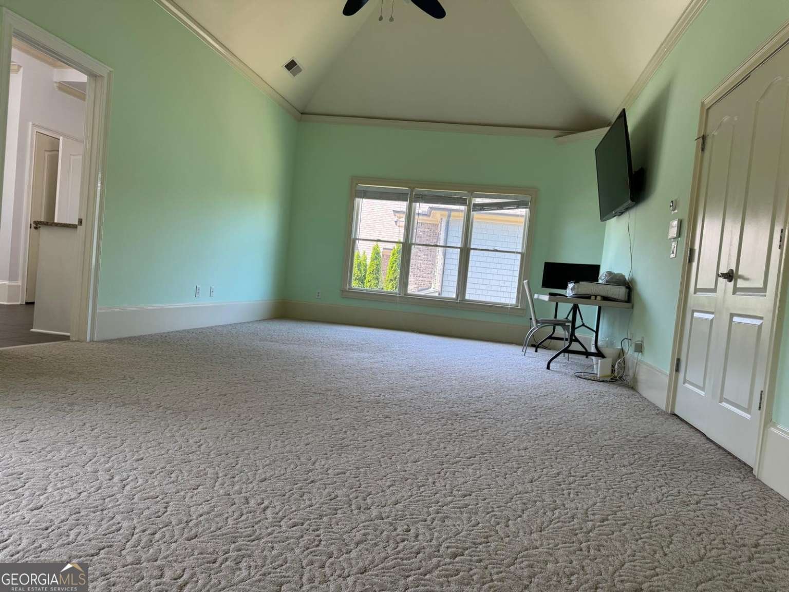 3450 Camellia Lane Suwanee - 53
