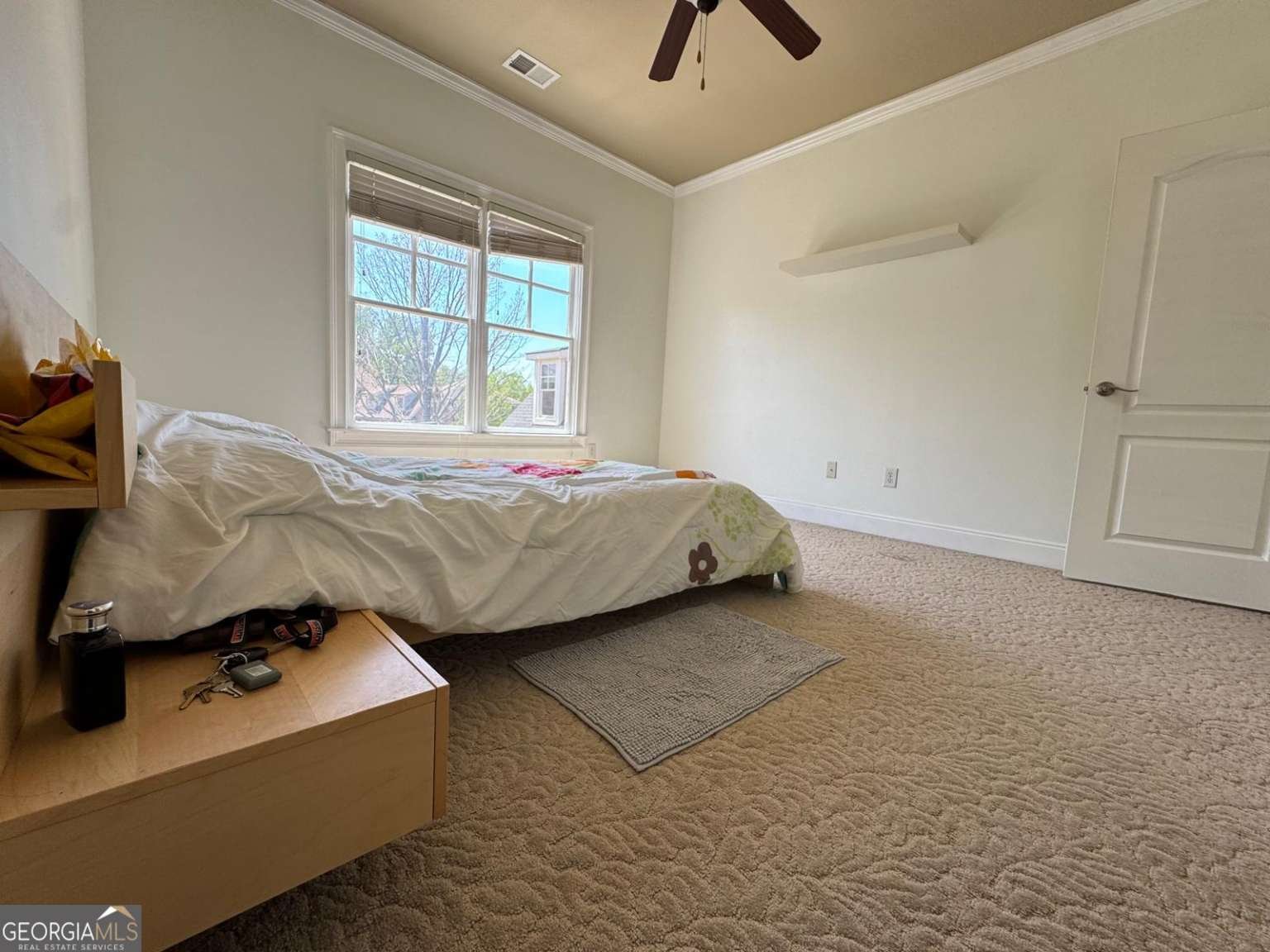 3450 Camellia Lane Suwanee - 69