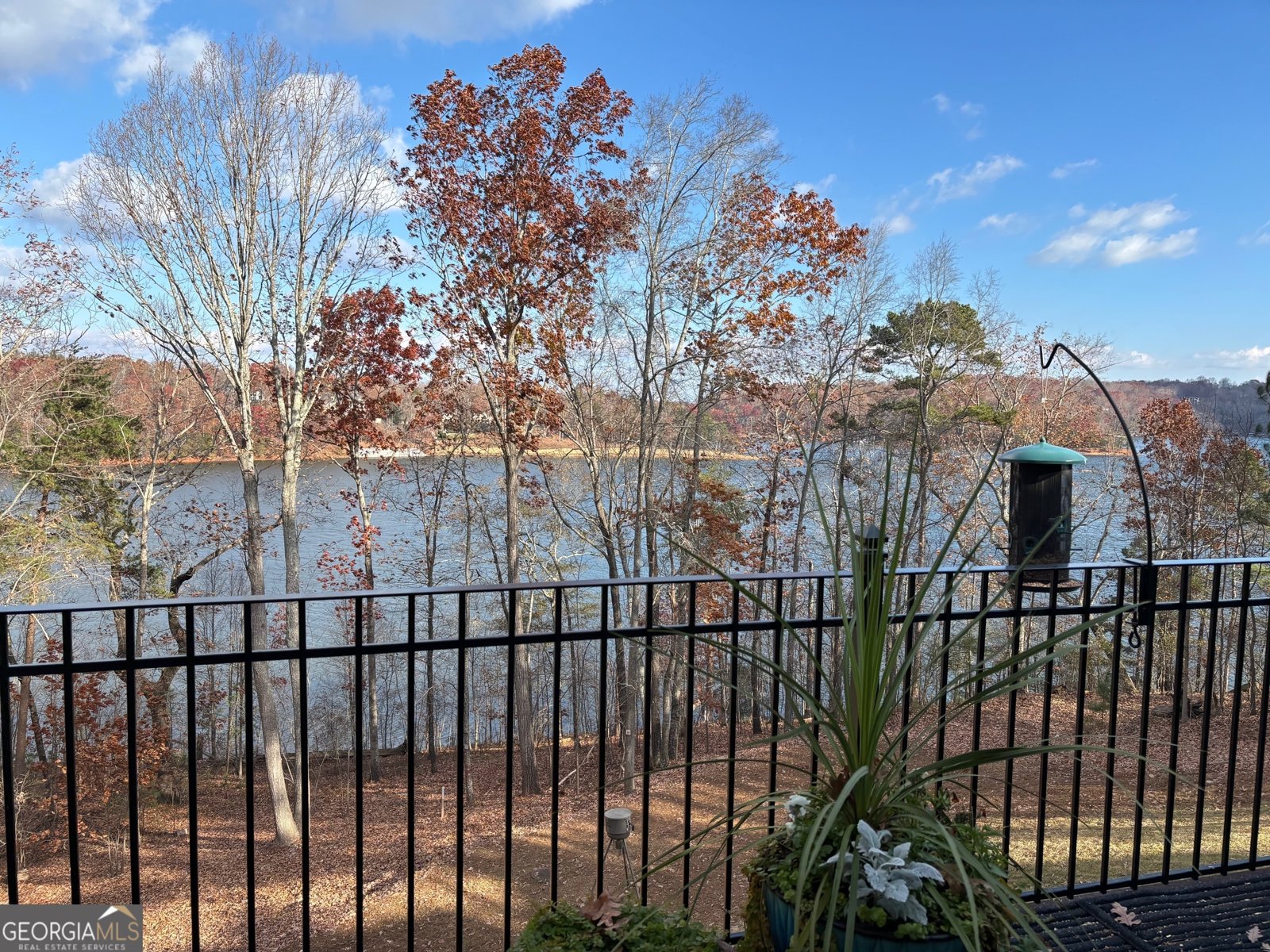 2819 Point Overlook Gainesville - 59