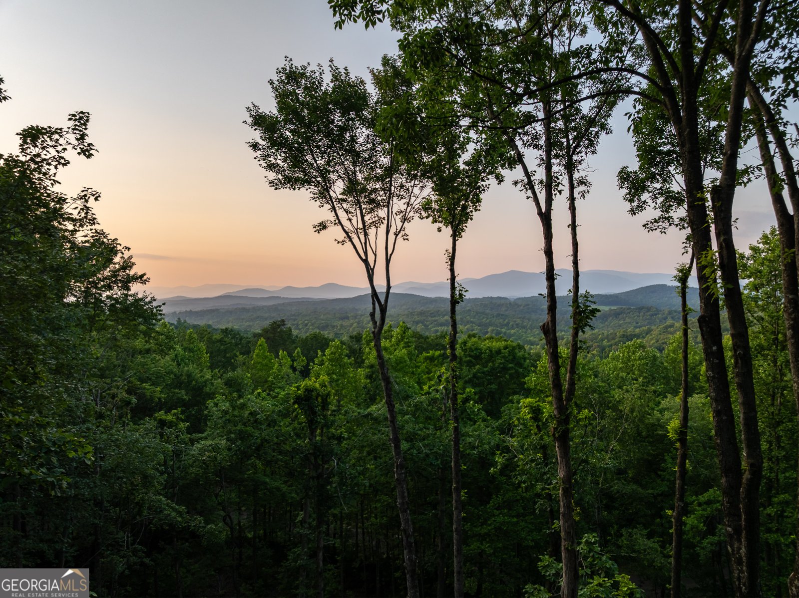 785 Bears Paw Drive Ellijay - 61