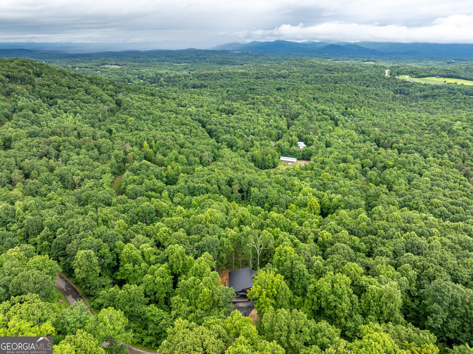785 Bears Paw Drive Ellijay - 66