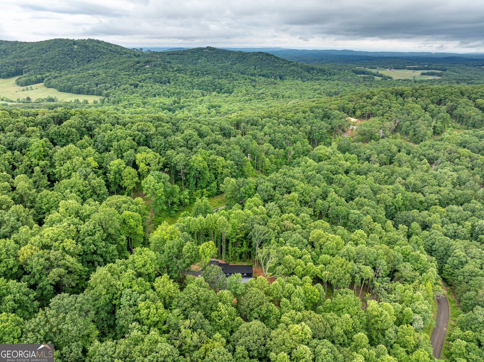 785 Bears Paw Drive Ellijay - 67