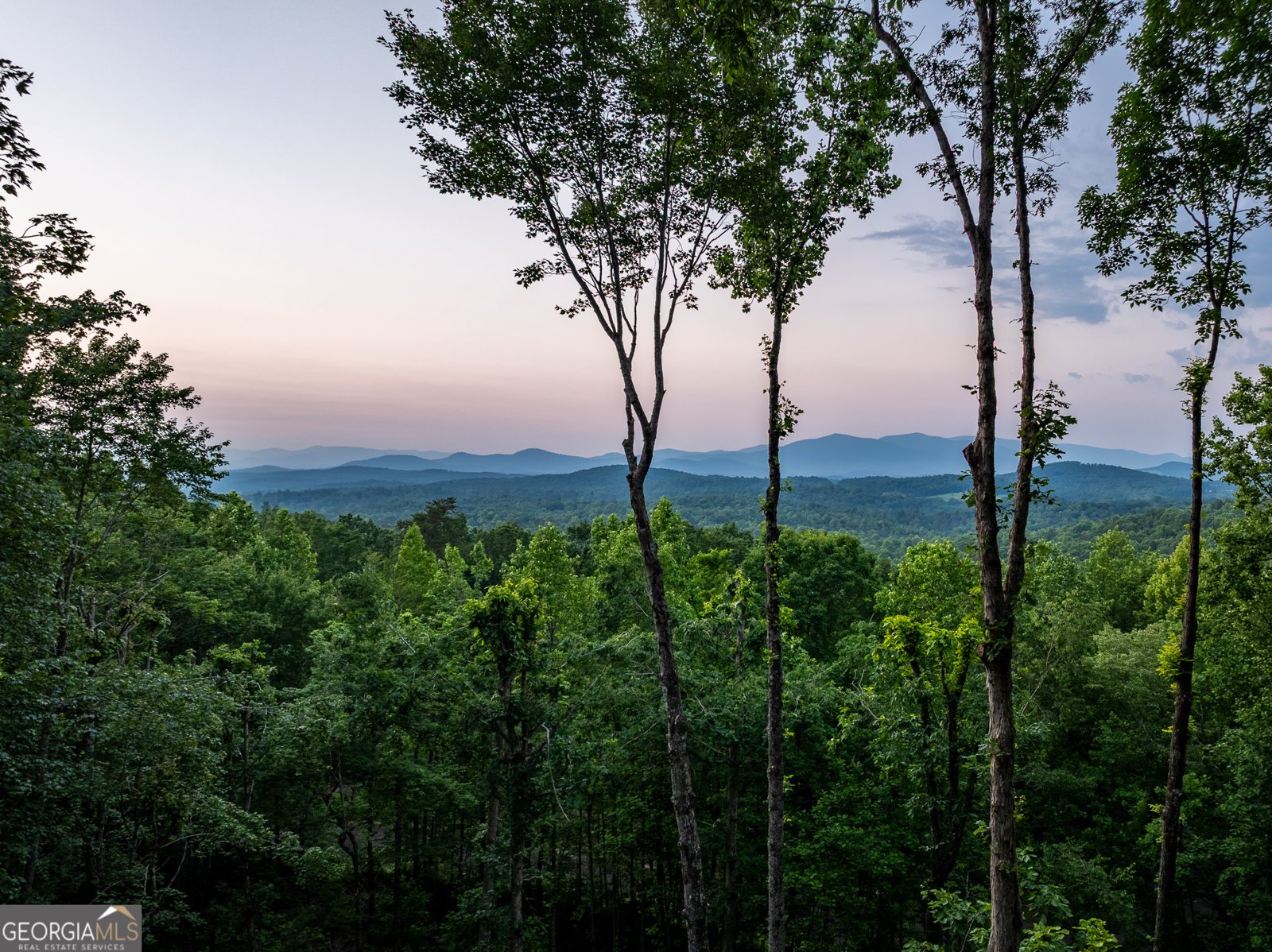 785 Bears Paw Drive Ellijay - 73