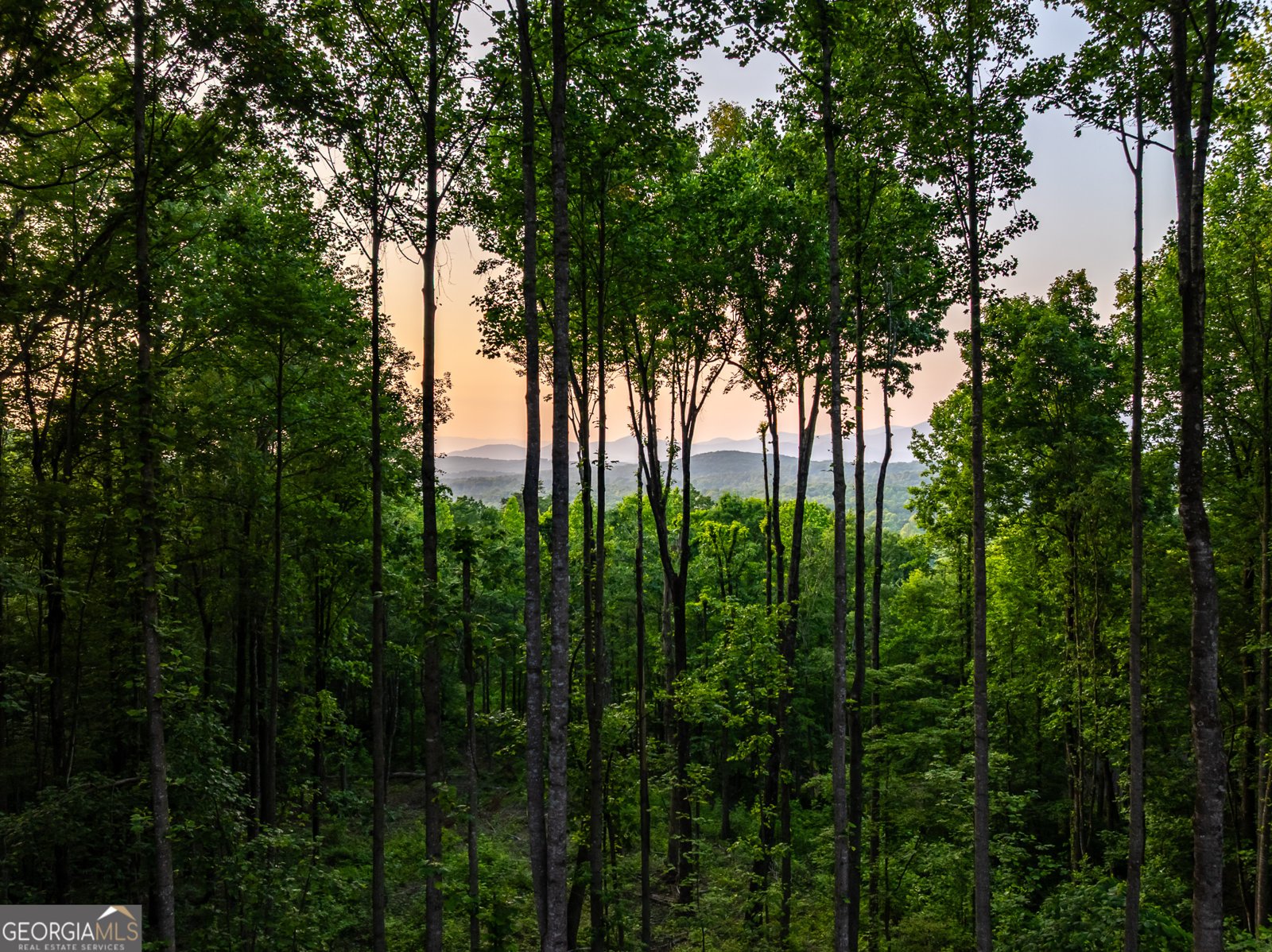 785 Bears Paw Drive Ellijay - 74