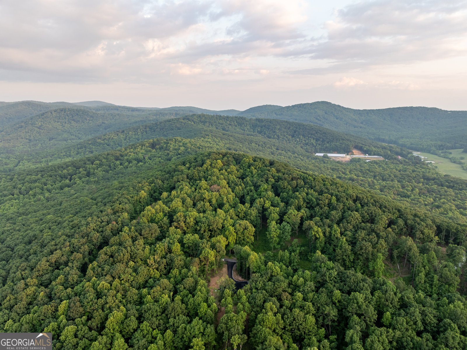 785 Bears Paw Drive Ellijay - 77