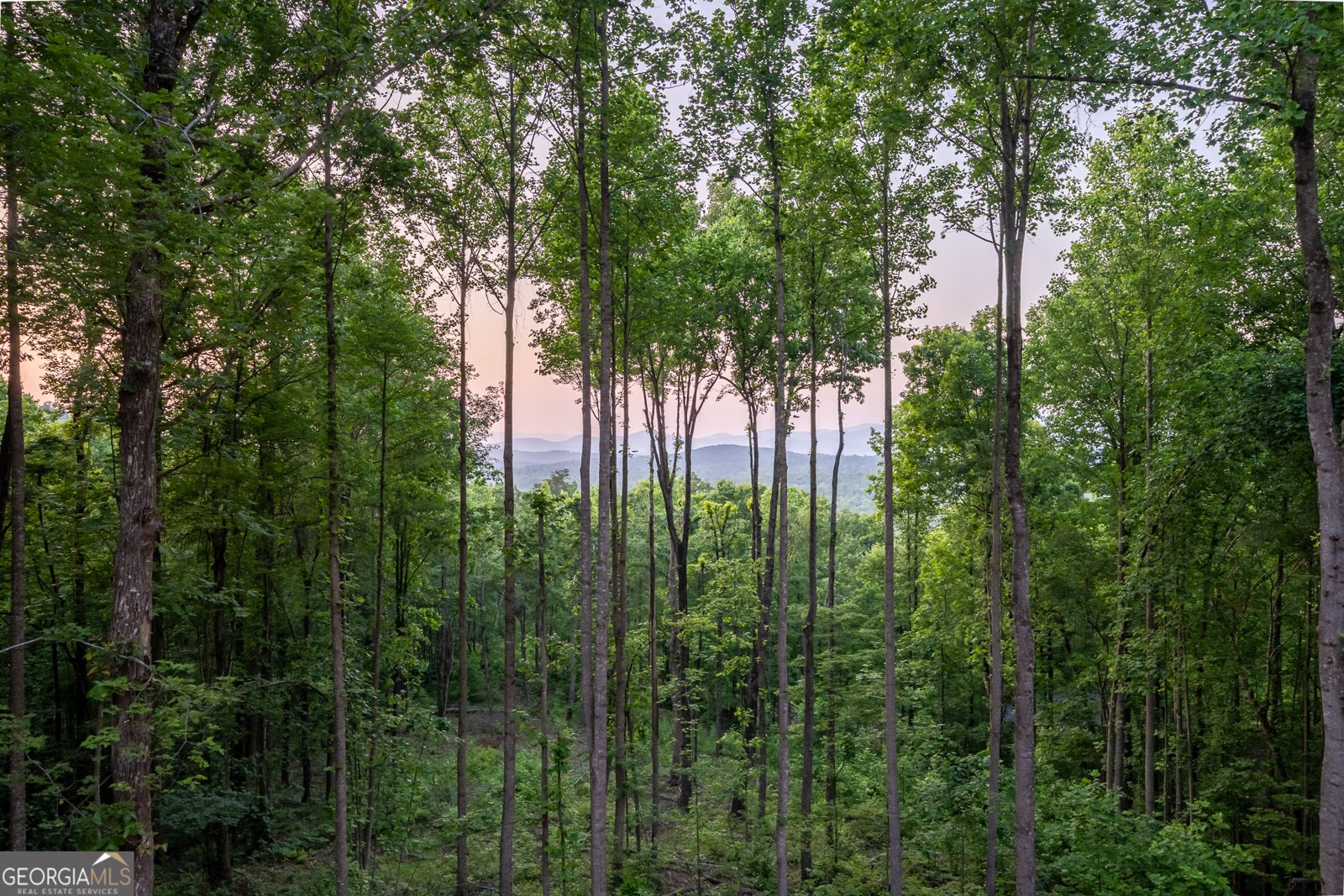 785 Bears Paw Drive Ellijay - 82