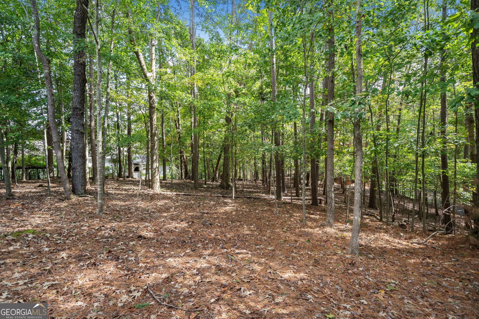 295 VISTA CHALET Drive Ellijay - 34