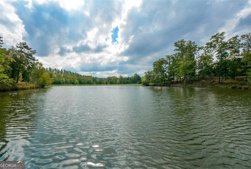 418 Laurel Spring Court Canton - 48