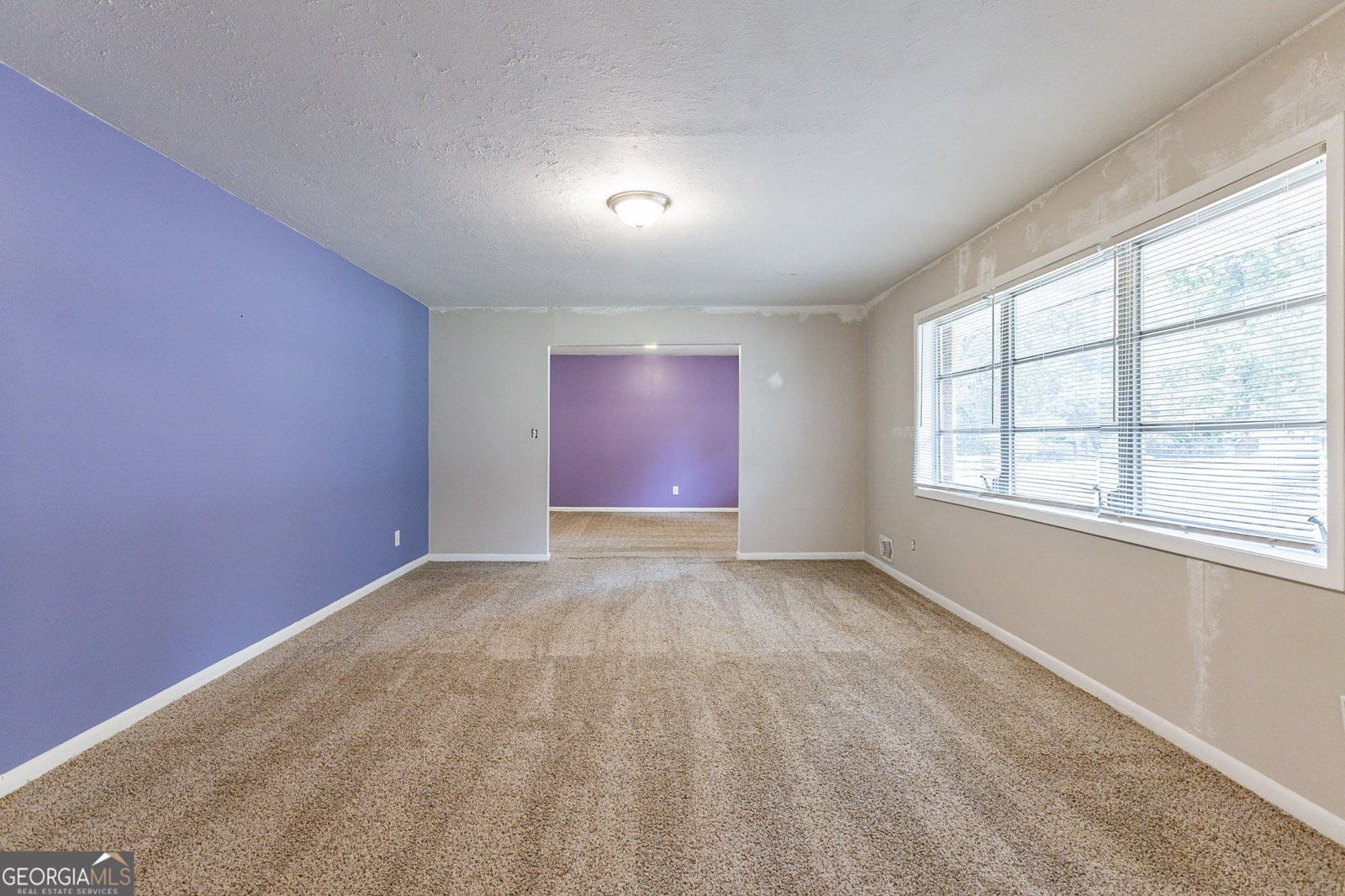 3689 Laurie Woods Lane Decatur - 12