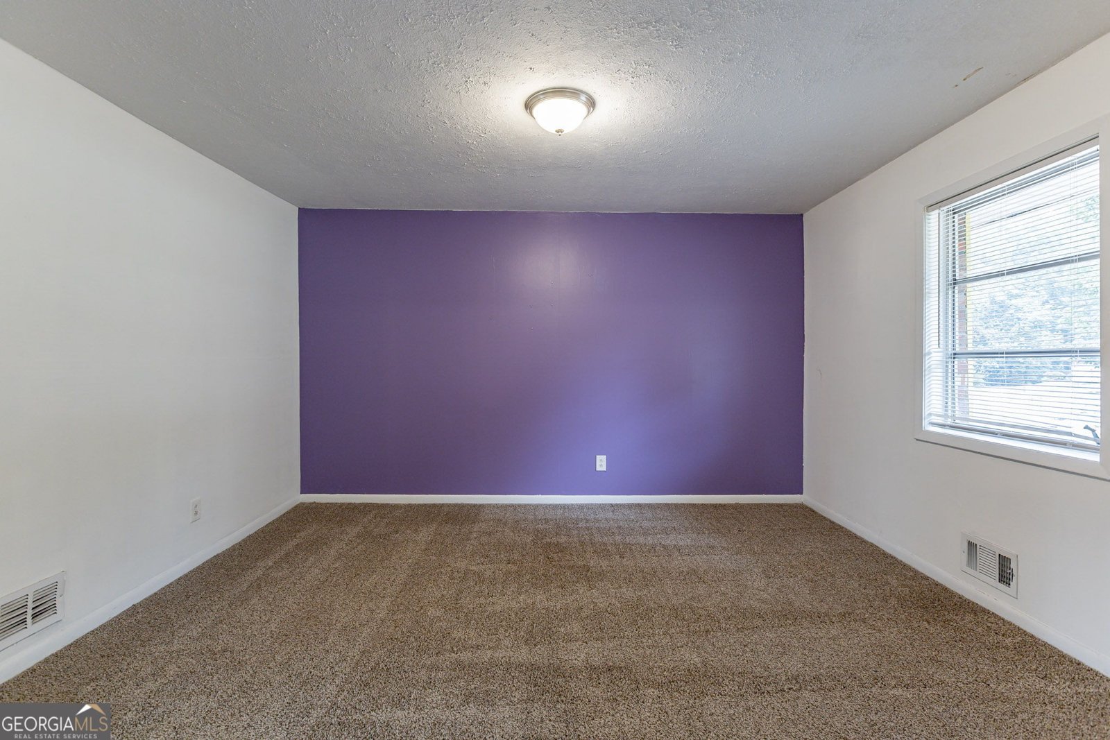 3689 Laurie Woods Lane Decatur - 14