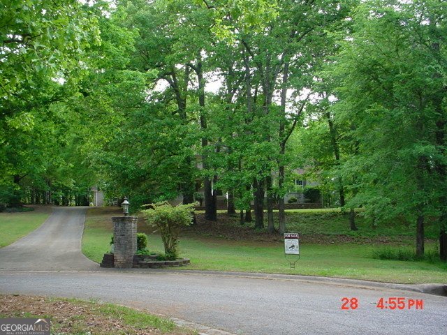 87 MCMICHAEL Way Hoschton - 24