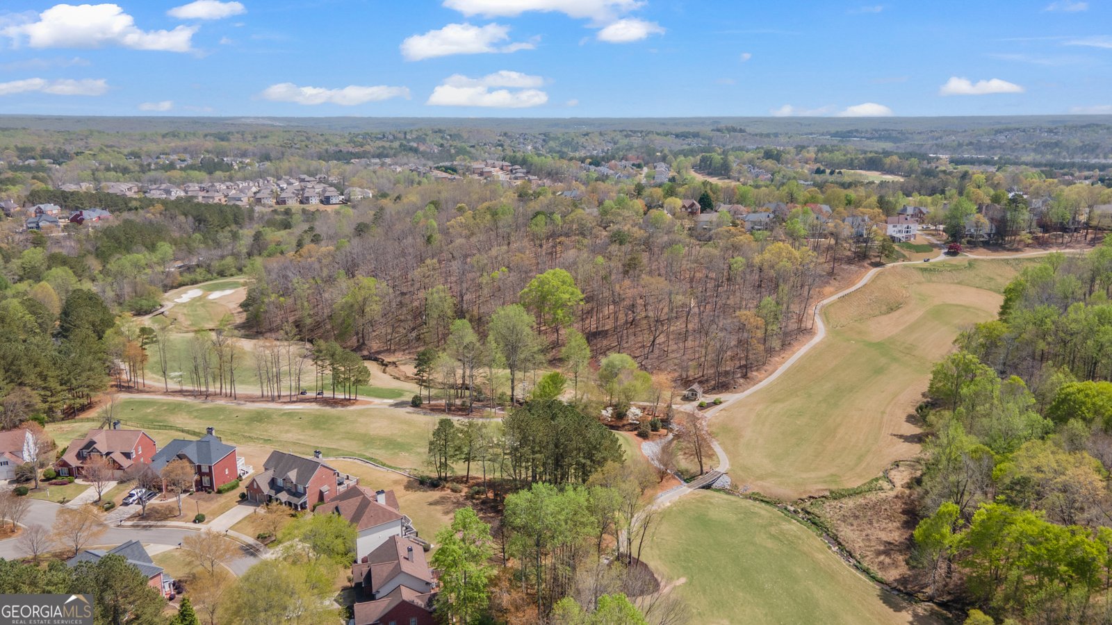 8150 Albritton Downs Cumming - 92