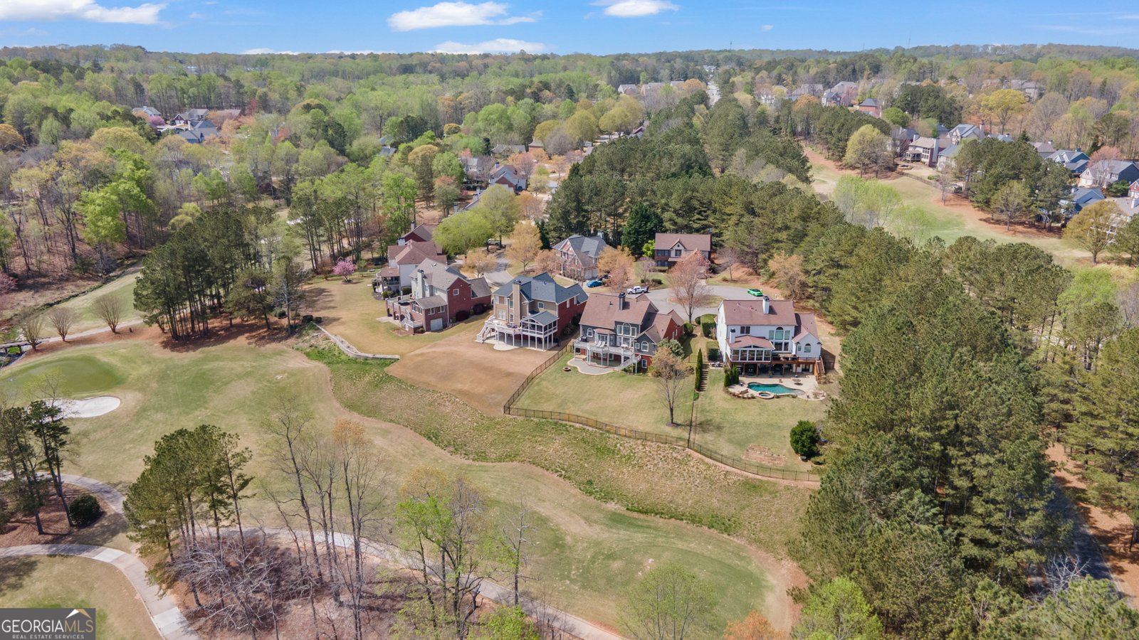 8150 Albritton Downs Cumming - 95