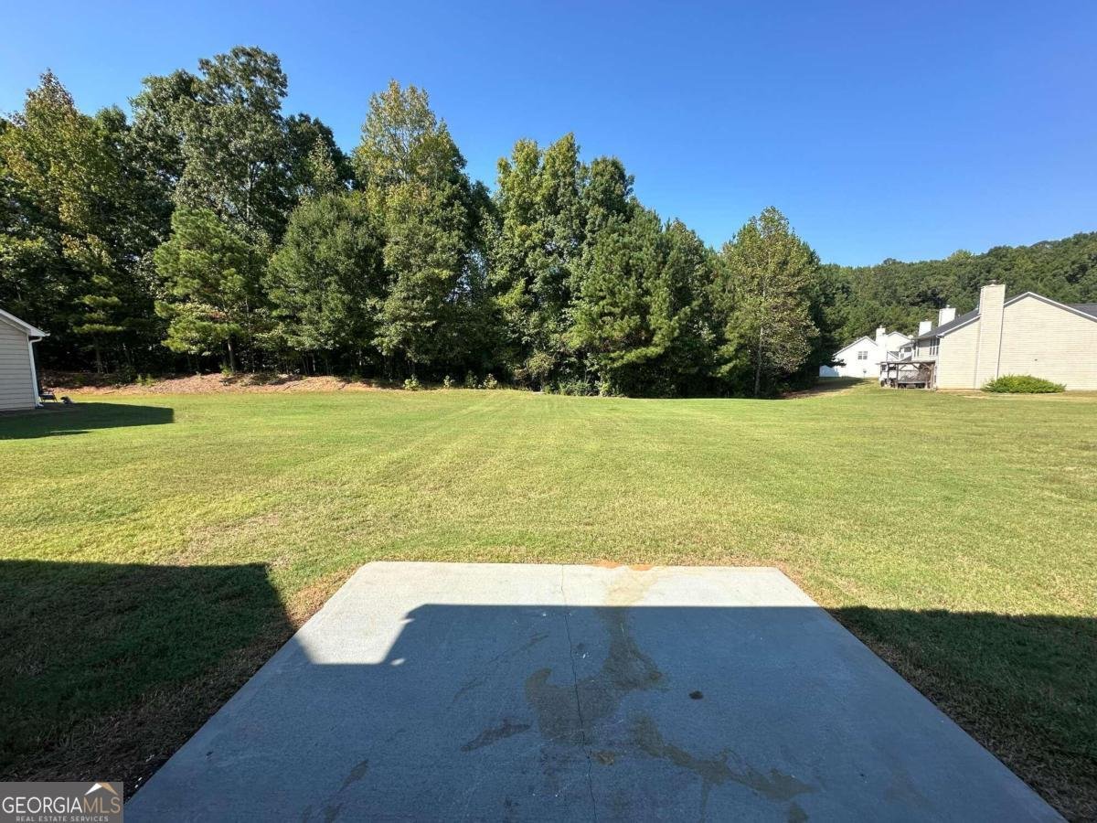 9585 Lakeview Circle Union City - 20
