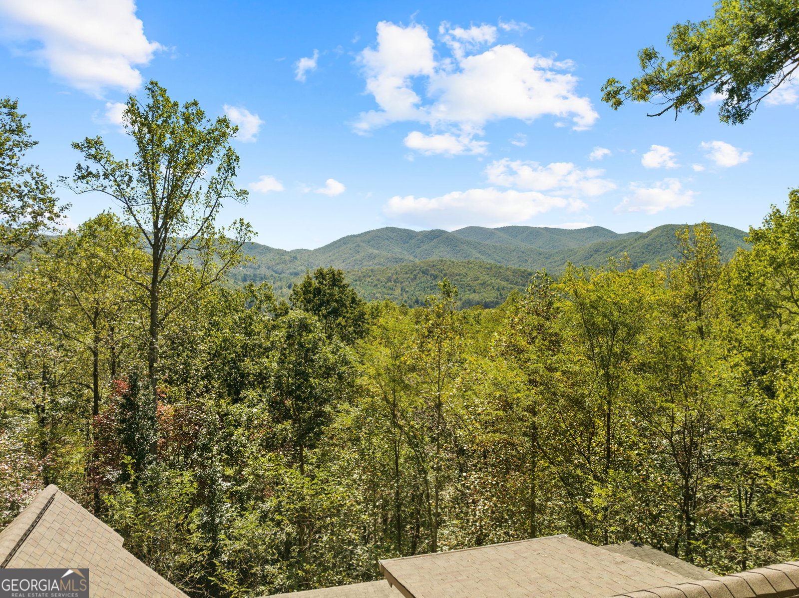 216 Hightower Ridge Drive Hiawassee - 52