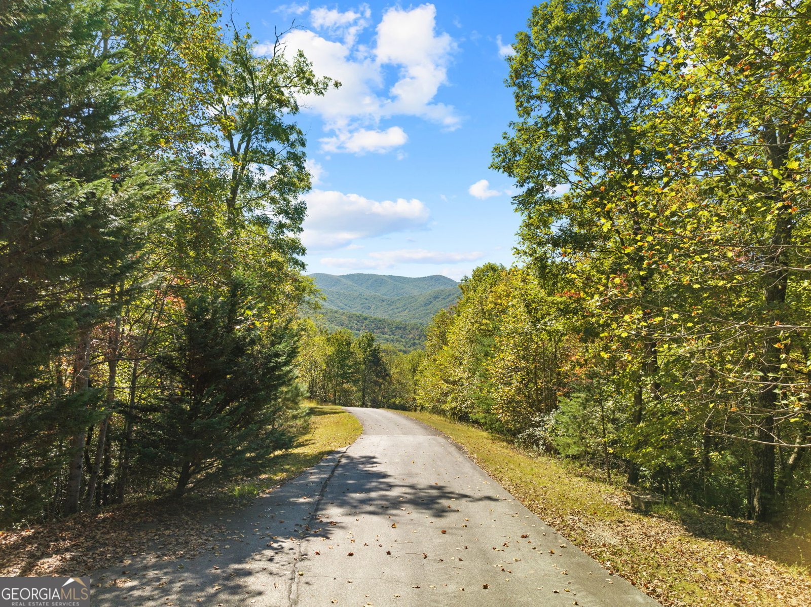 216 Hightower Ridge Drive Hiawassee - 54