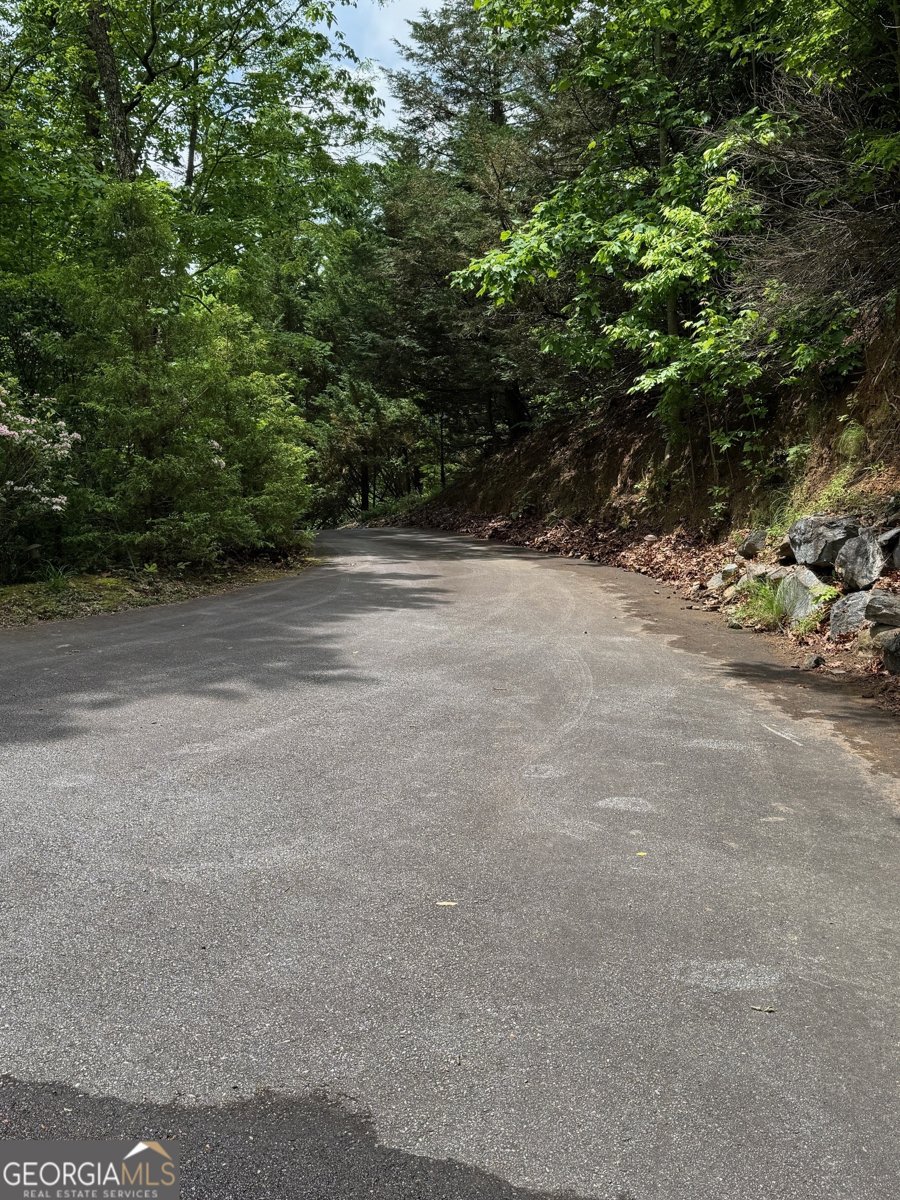 216 Hightower Ridge Drive Hiawassee - 55