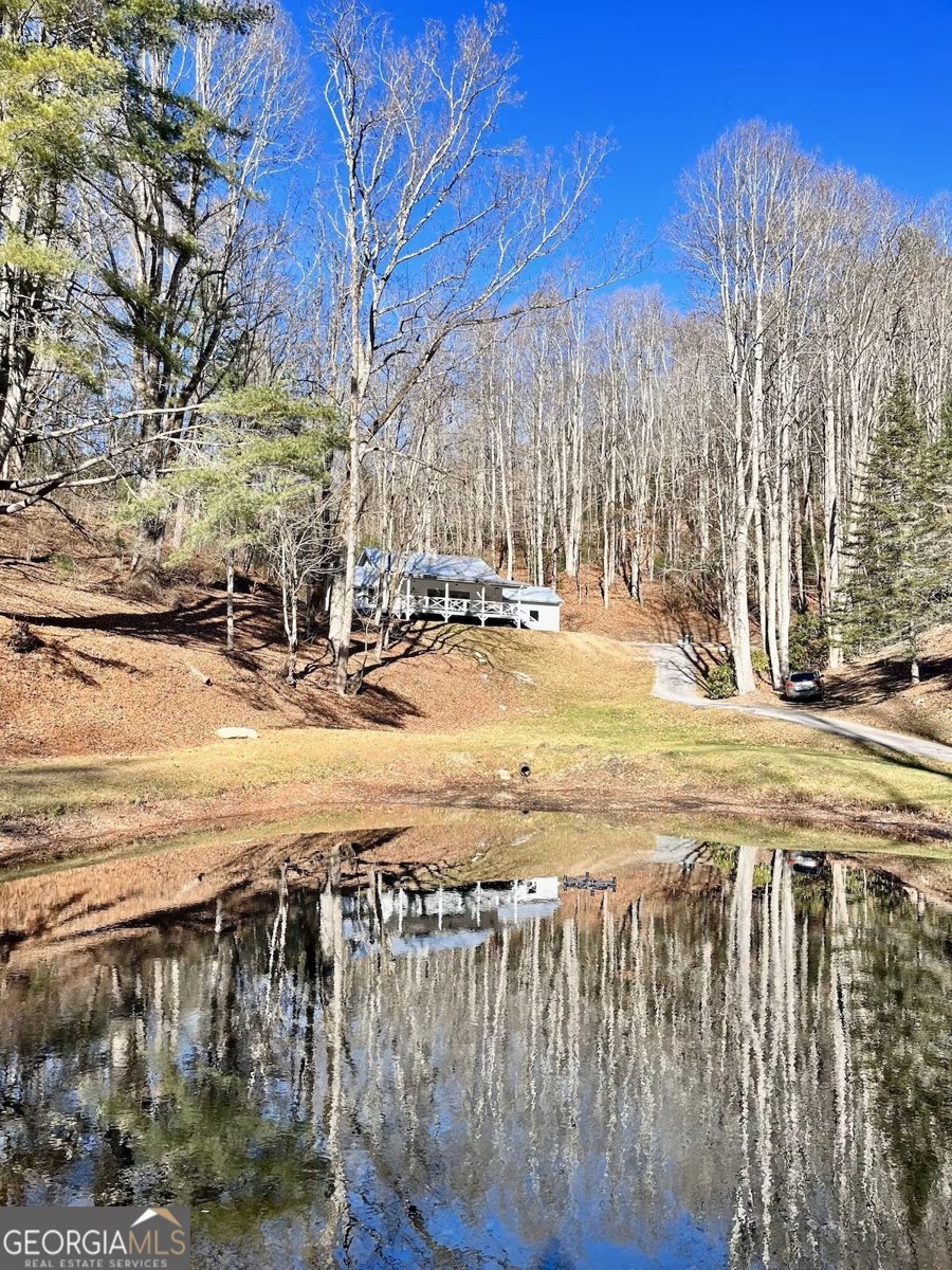 73 Peek and Peak Lane Scaly Mtn - 2
