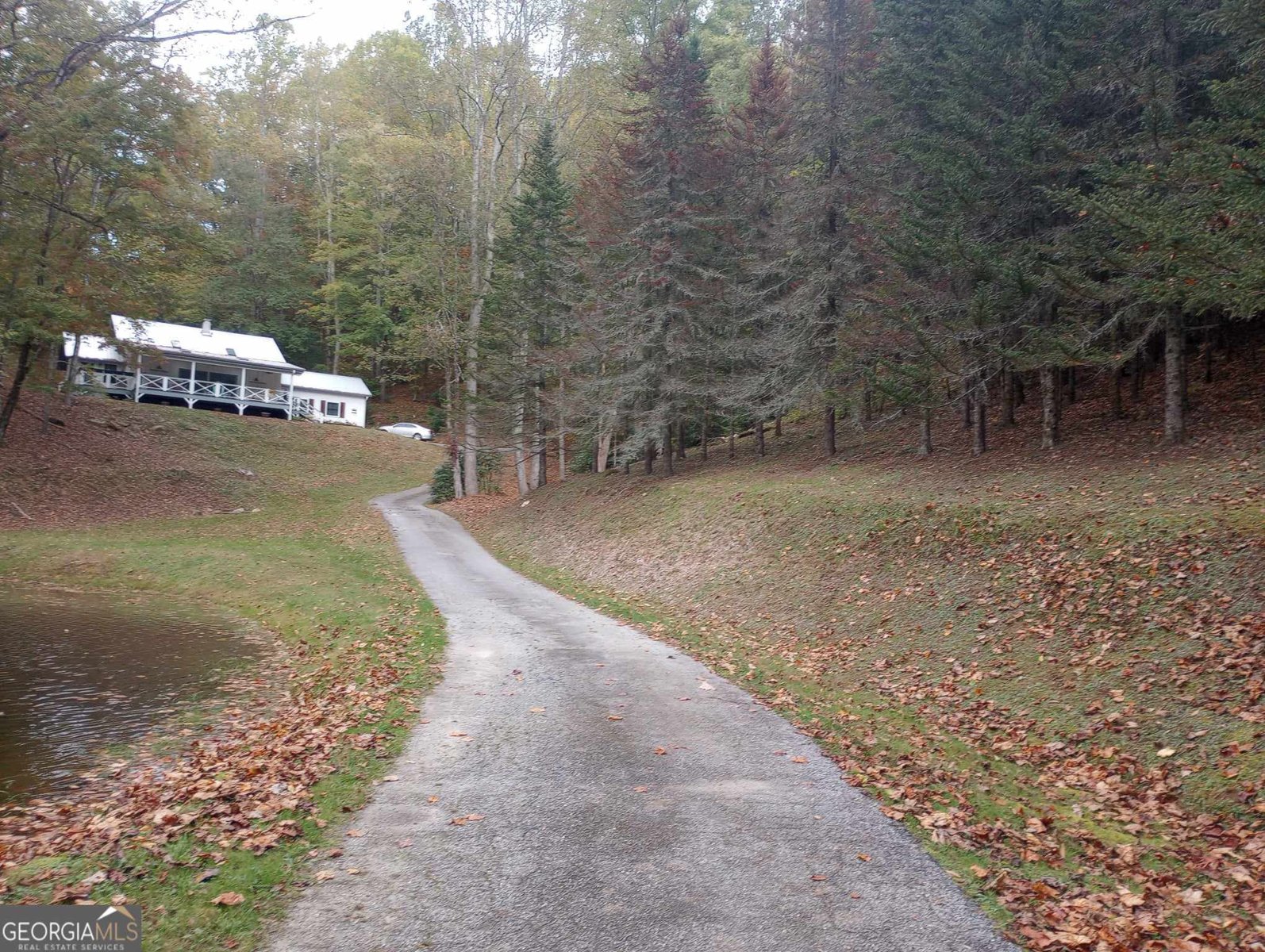 73 Peek and Peak Lane Scaly Mtn - 36