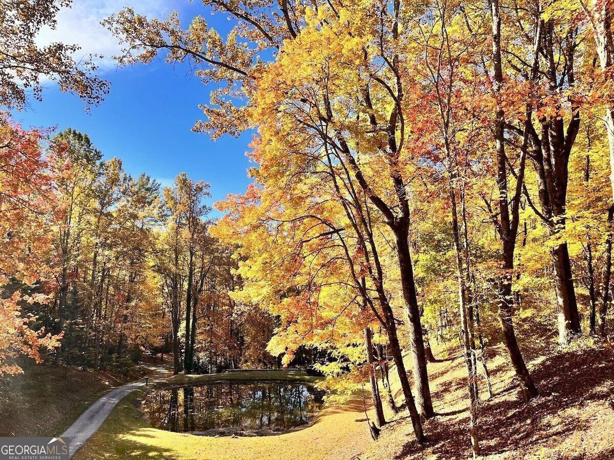 73 Peek and Peak Lane Scaly Mtn - 37