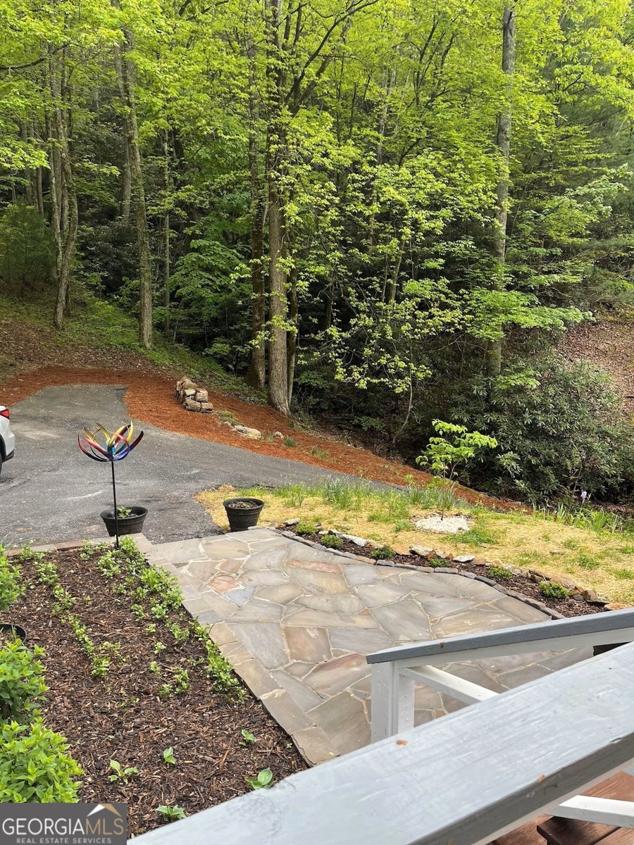 73 Peek and Peak Lane Scaly Mtn - 7