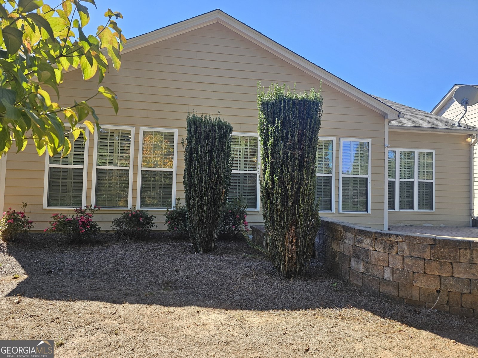 5911 Chimney Rock Drive Hoschton - 9